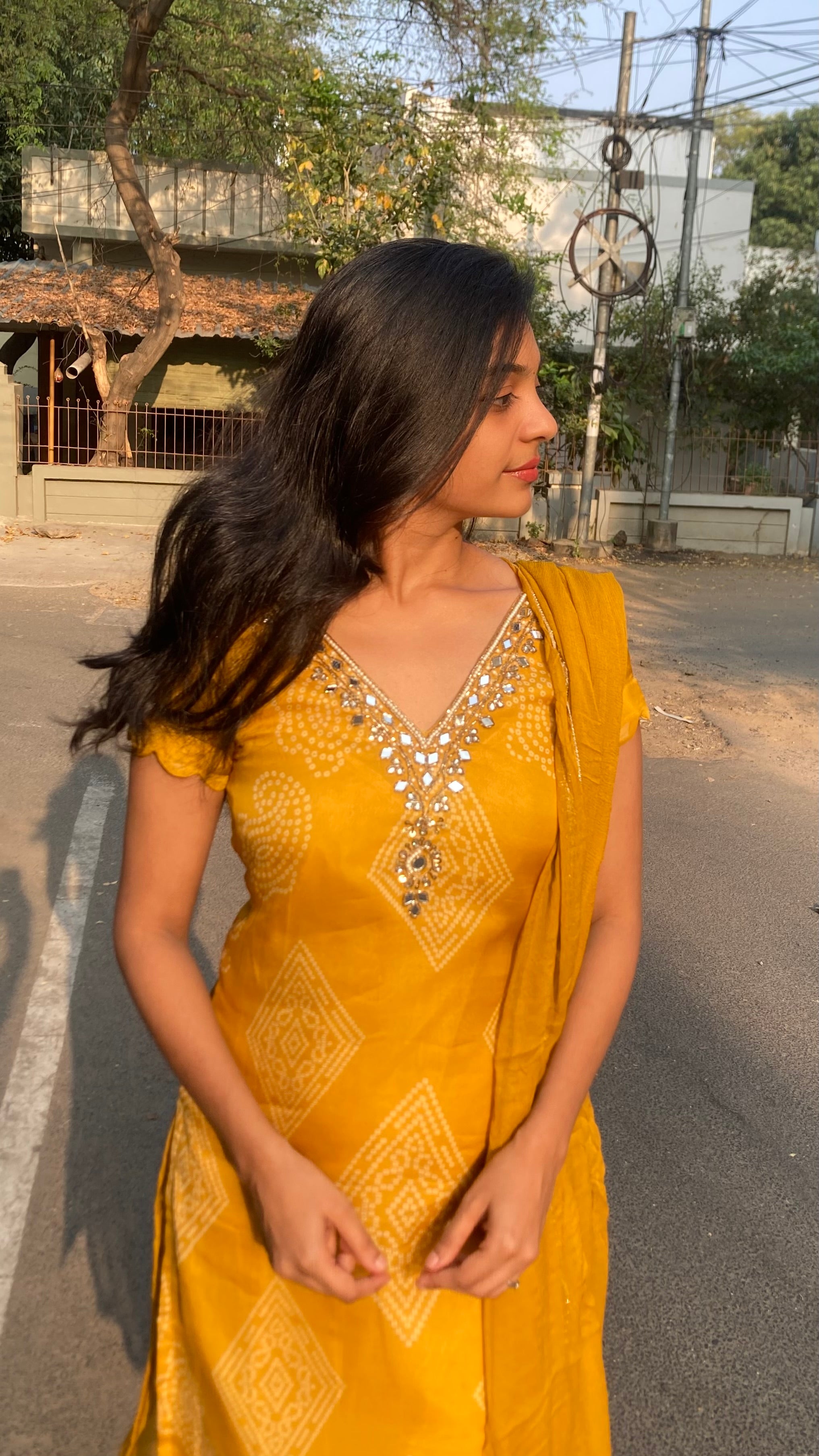 Viscose organza-Mirror work (bandhini)