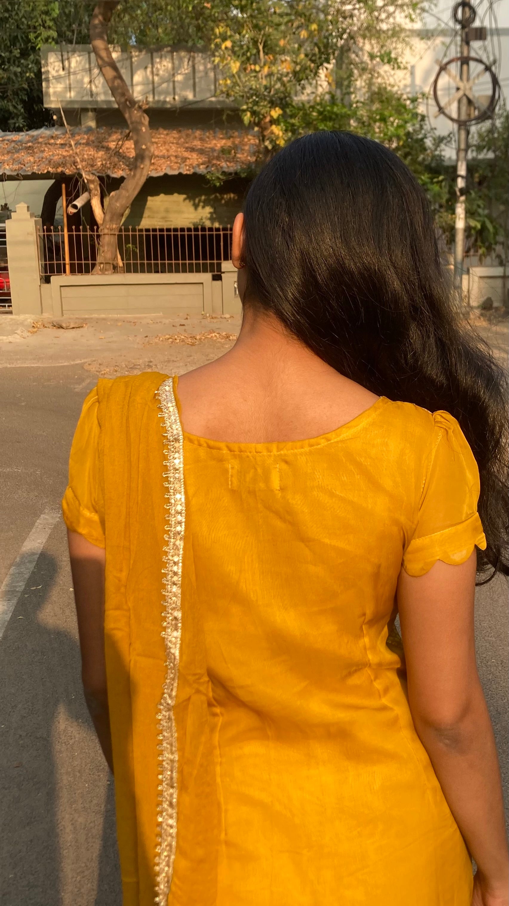 Viscose organza-Mirror work (bandhini)