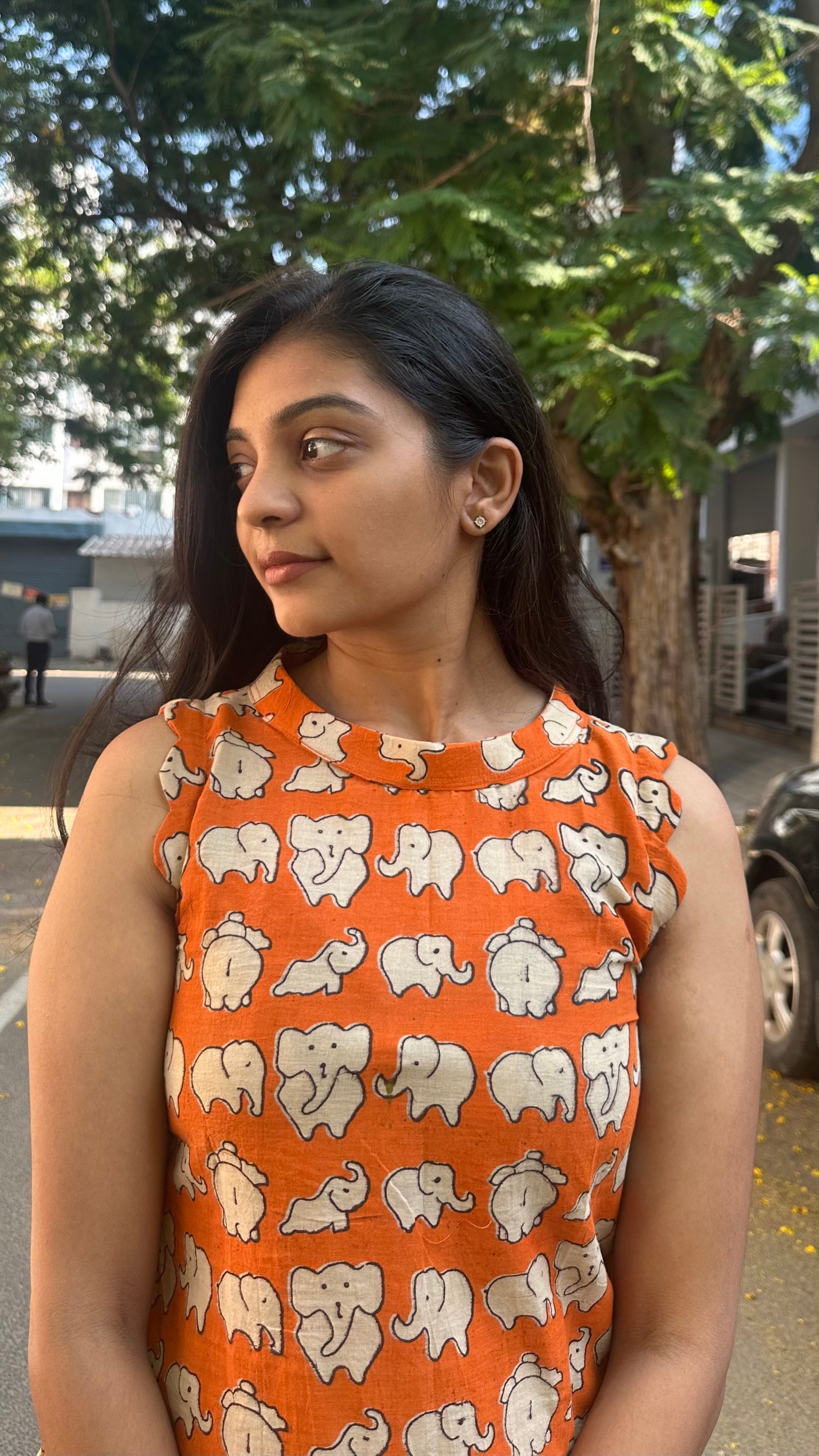 Elephant aline