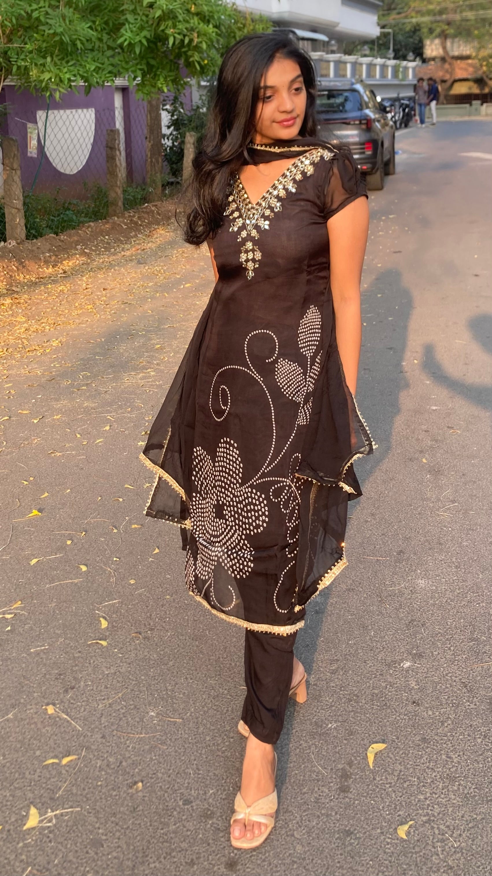 Viscose Organza-Mirror work-bandhini flowers