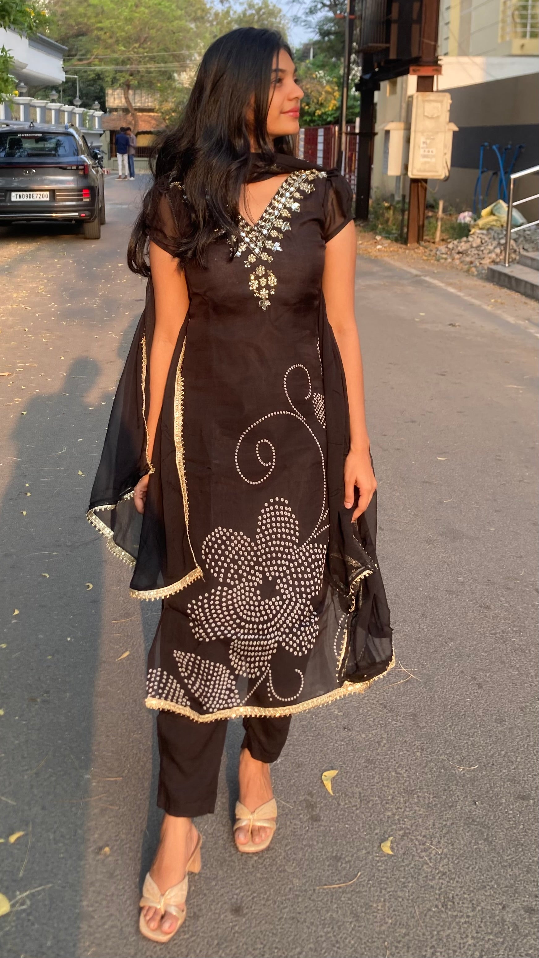 Viscose Organza-Mirror work-bandhini flowers