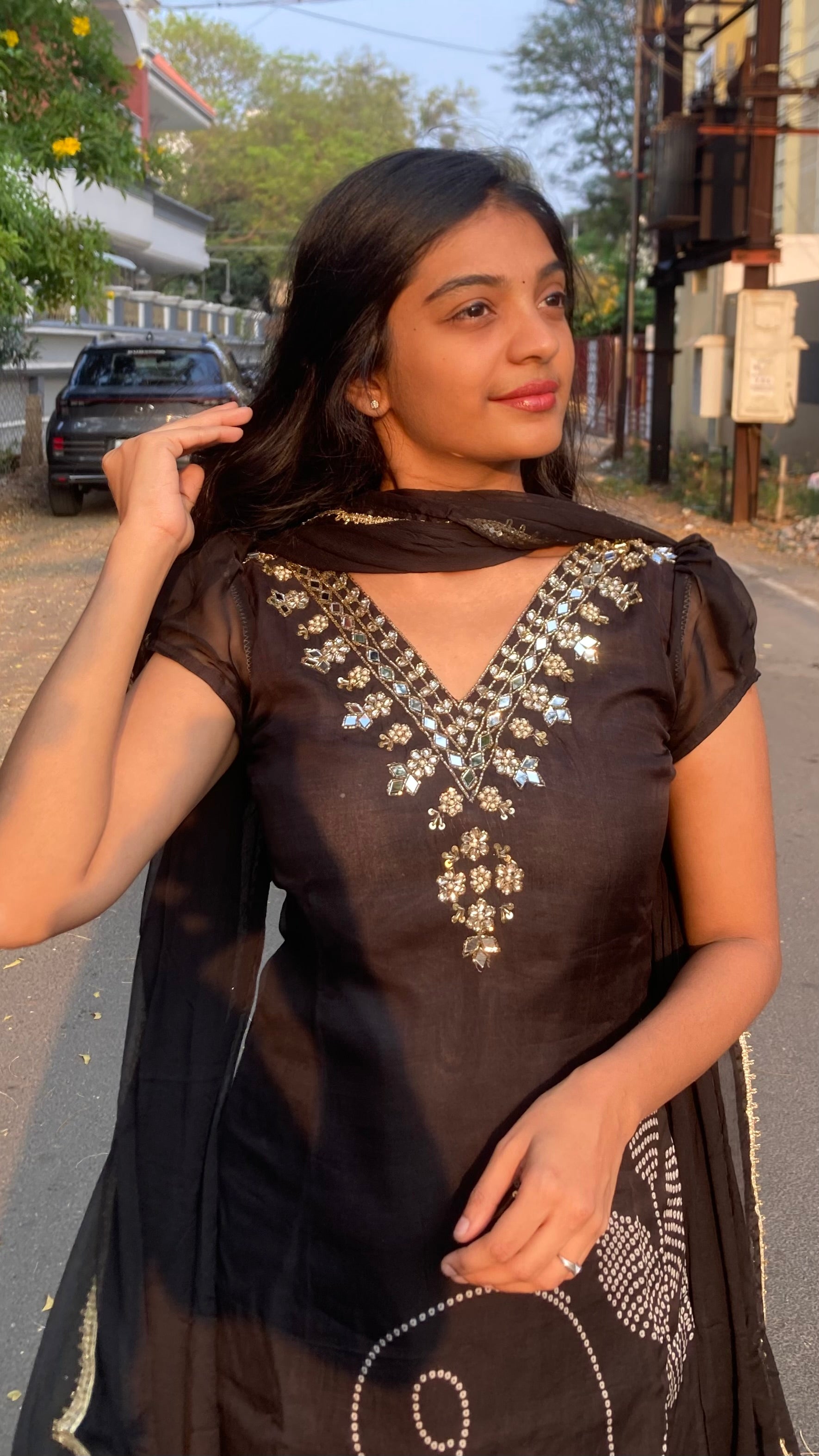 Viscose Organza-Mirror work-bandhini flowers