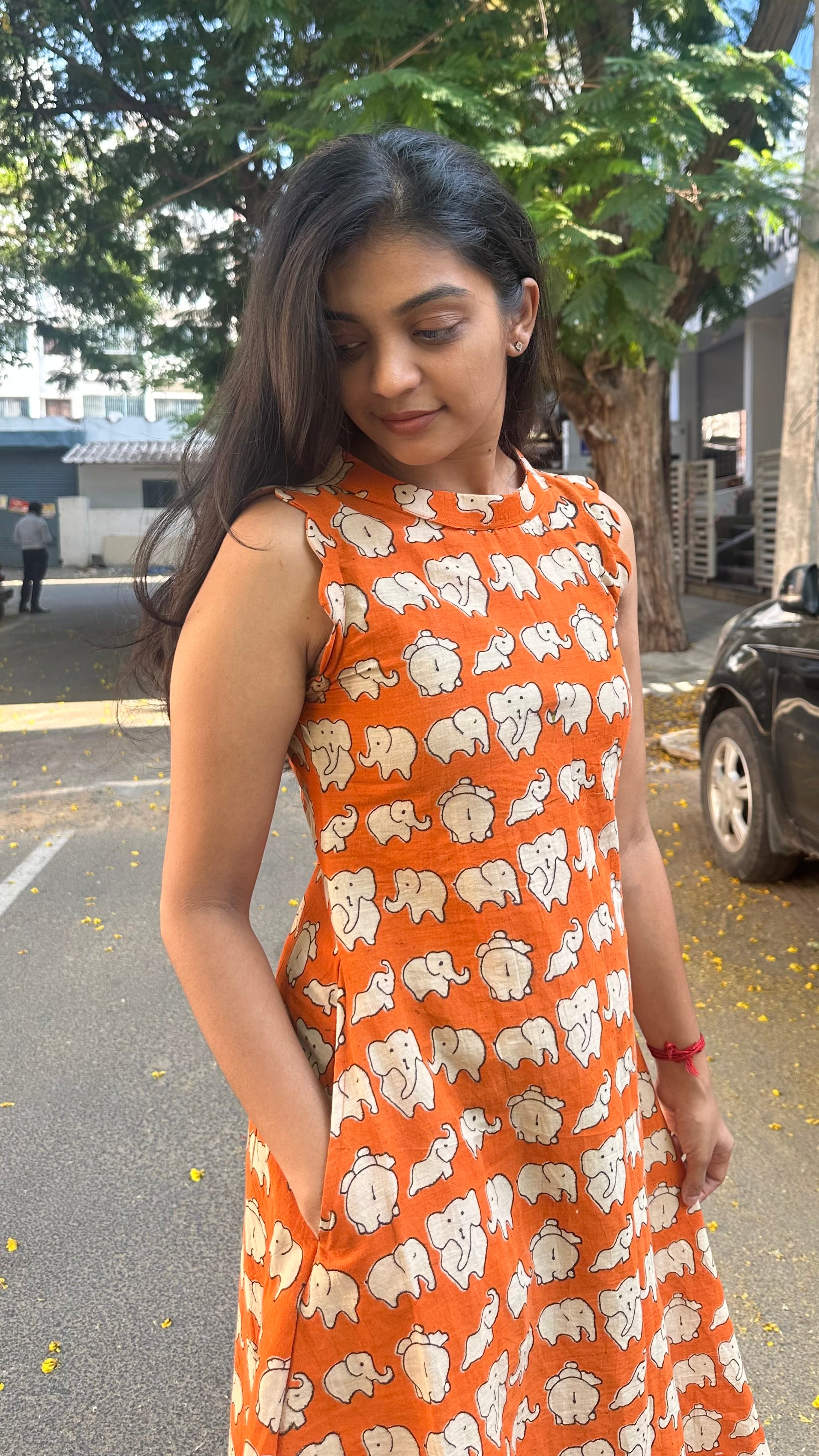 Elephant aline
