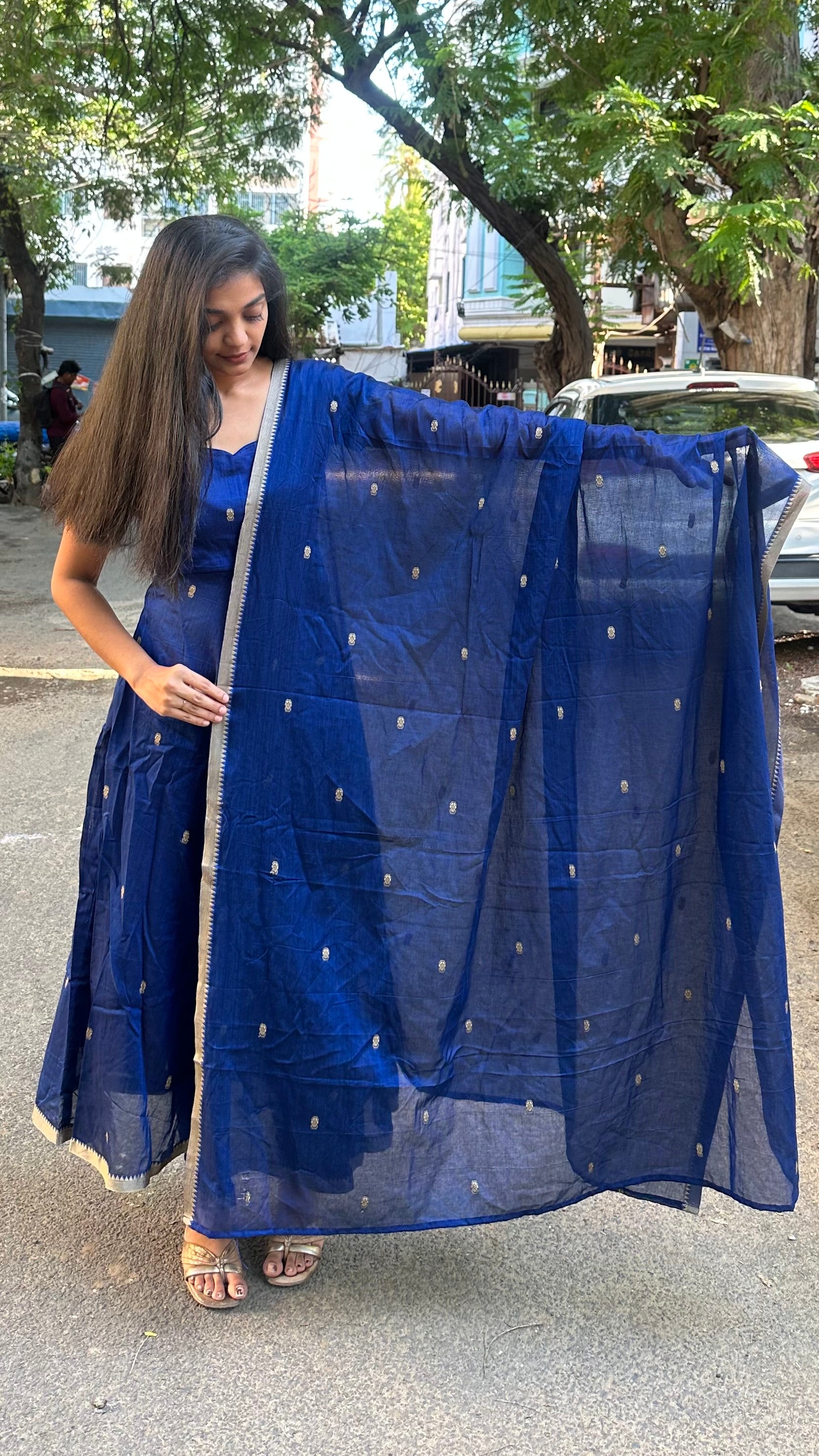 Blue Narayanpet - Anarkali (2pc)